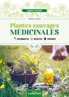 Couverture du livre « Plantes sauvages médicinales : Reconnaître, récolter, préparer » de Sophie Lacoste aux éditions Mosaique Sante
