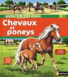 Couverture du livre « Chevaux et poneys » de Anne-Sophie Baumann aux éditions Nathan