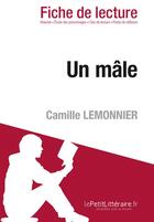 Couverture du livre « Fiche de lecture : un mâle, de Camille Lemonnier ; analyse complète de l'oeuvre et résumé » de Natacha Cerf aux éditions Lepetitlitteraire.fr