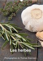 Couverture du livre « Les herbes calendrier mural 2020 din a3 vertical - rien ne vaut des ingredients f (édition 2020) » de Siepmann Thomas aux éditions Calvendo