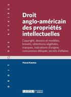 Couverture du livre « Droit anglo-américain des propriétés intellectuelles » de Pascal Kamina aux éditions Lgdj