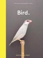 Couverture du livre « Bird » de Gemma Padley aux éditions Hoxton Press