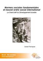 Couverture du livre « Normes sociales fondamentales et nouvel ordre social international ; le grand défi du développement durable » de Pierrejean Daniel aux éditions Edilivre