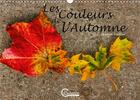 Couverture du livre « Les couleurs de l automne calendrier mural 2020 din a3 horizontal - dame nature nous offre une div » de Seidler Jessica aux éditions Calvendo