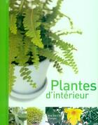 Couverture du livre « Plantes D'Interieur » de Dorte Nissen aux éditions Hachette Pratique