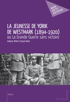 Couverture du livre « La jeunesse de Yorik de Westmark (1894-1920) ou la Grande Guerre sans victoire » de Antoine Michel Francois Denis aux éditions Mon Petit Editeur