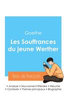 Couverture du livre « Réussir son Bac de français 2024 : Analyse des Souffrances du jeune Werther de Goethe » de Goethe aux éditions Bac De Francais