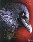 Couverture du livre « L'étonnante intelligence des oiseaux » de Nathan Emery aux éditions Quae