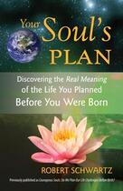 Couverture du livre « YOUR SOUL''S PLAN - DISCOVERING THE REAL MEANING OF THE LIFE YOU PLANNED BEFORE YOU WERE » de Robert Schwartz aux éditions Revue Frog