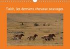 Couverture du livre « Takh les derniers chevaux sauvages calendrier mural 2018 din - nom mongol de ce cheval origin » de Terry M aux éditions Calvendo