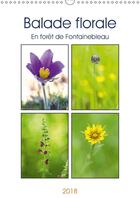 Couverture du livre « Balade florale en foret de fontainebleau calendrier mural 20 - decouvrez une jolie fleur sauv » de Makhloufi D aux éditions Calvendo