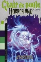 Couverture du livre « Chair de poule : Horrorland Tome 13 : les hurlements du chien fantôme » de R. L. Stine aux éditions Bayard Jeunesse