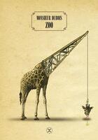 Couverture du livre « Zoo » de Denis Dubois aux éditions Attila