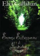 Couverture du livre « Secrets salvatueurs à Hawsbury » de Elsa Gallahan aux éditions Bookelis