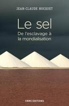 Couverture du livre « Le sel ; de l'esclavage à la mondialisation » de Jean-Claude Hocquet aux éditions Cnrs