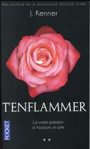 Couverture du livre « T'enflammer » de Julie Kenner aux éditions Pocket