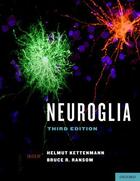 Couverture du livre « Neuroglia » de Ransom Bruce R aux éditions Oxford University Press Usa