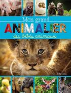 Couverture du livre « Mon grand animalier des bébés animaux » de Marie-Eve Cote aux éditions Shoebox Media
