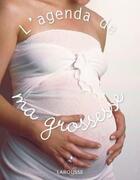 Couverture du livre « L'agenda de ma grossesse » de Anne Theau aux éditions Larousse
