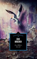 Couverture du livre « Les Débris du ciel » de Eric Brucher aux éditions Edern Editions