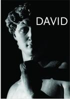 Couverture du livre « Michelangelo's david » de Amendola aux éditions 24 Ore