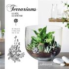 Couverture du livre « Terrariums, les créer, les entretenir » de Clea Cregan aux éditions Larousse