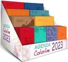 Couverture du livre « Display 44 agendas 2023 color line » de  aux éditions Cartotheque