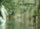 Couverture du livre « Voyage en Caloptérie » de Olivier Laporte aux éditions Ane Bate
