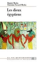 Couverture du livre « Les Dieux Egyptiens » de Meeks-D+C aux éditions Hachette Litteratures