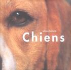 Couverture du livre « Les chiens » de Bacchella Adriano aux éditions Hors Collection