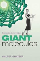 Couverture du livre « Giant molecules: from nylon to nanotubes » de Gratzer Walter aux éditions Editions Racine