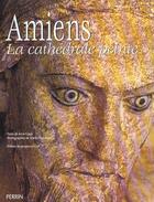 Couverture du livre « Amiens La Cathedrale Peinte » de Martin Fraudreau et Anne Egger aux éditions Perrin