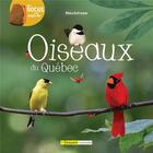 Couverture du livre « Oiseaux du Québec » de Rhea Dufresne aux éditions Bayard Canada