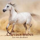 Couverture du livre « Chevaux arabes les rois du desert calendrier mural 2020 300 300 mm square - des creatures legendaire » de Stanzer Elisabe aux éditions Calvendo