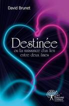 Couverture du livre « Destinee ou la naissance d'un lien entre deux ames » de Brunet David aux éditions Edilivre