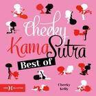 Couverture du livre « Best of Cheeky : Kama Sutra » de Cheeky Kelly aux éditions Hors Collection