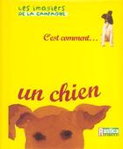Couverture du livre « Un chien » de Bulard Cordeau B. aux éditions Rustica