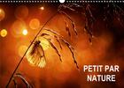 Couverture du livre « Petit par Nature (Calendrier mural 2020 DIN A3 horizontal) ; Sélection de photographies macro (Calendrier mensuel, 14 Pages ) » de Steyaert Didier aux éditions Calvendo