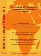 Couverture du livre « De la colonie à l'Etat-nation ; constructions identitaires au Maghreb » de Maghreb Et Sciences Sociales 2012 aux éditions Editions L'harmattan