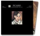 Couverture du livre « Picasso, peintre et sculpteur sur argile » de  aux éditions La Martiniere