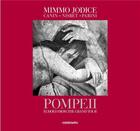 Couverture du livre « Pompeii, echoes from the grand tour » de Jim Nisbet et Mimmo Jodice et Jay Parini aux éditions Contrasto
