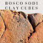 Couverture du livre « Bosco sodi the clay cubes » de Gisbourne Mark/Hart aux éditions Hatje Cantz