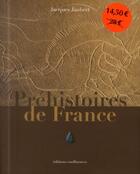 Couverture du livre « Préhistoire de France (-1 000 000 / -7 000 av. J.C.) » de Jacques Jaubert aux éditions Confluences