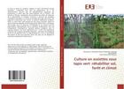 Couverture du livre « Culture en assiettes sous tapis vert: rehabiliter sol, foret et climat » de Lolonga D-T. aux éditions Editions Universitaires Europeennes