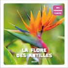 Couverture du livre « Mes premières plantes ; la flore des Antilles » de Jean-Pierre Chaville aux éditions Philippe Auzou