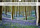 Couverture du livre « Le printemps du bois de halle calendrier mural 2020 din a4 horizontal - hallerbos la foret feerique » de Patrick Bombaer aux éditions Calvendo