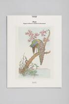 Couverture du livre « Tirage BNF : paon » de Adalbert De Beaumont aux éditions Reliefs Editions