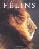 Couverture du livre « Felins (les) » de Laurent Cocherel aux éditions Flammarion