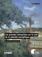 Couverture du livre « Les grandes entreprises sur la voie de la sobriété énergétique » de Ahmed Diop et David Lolo aux éditions Presses De L'ecole Des Mines