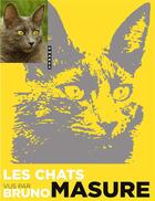 Couverture du livre « Les chats vus par Bruno Masure » de Bruno Masure aux éditions Hugo Image